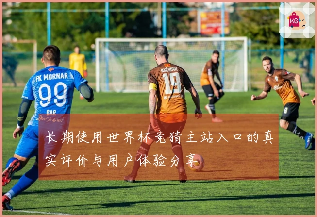长期使用世界杯竞猜主站入口的真实评价与用户体验分享