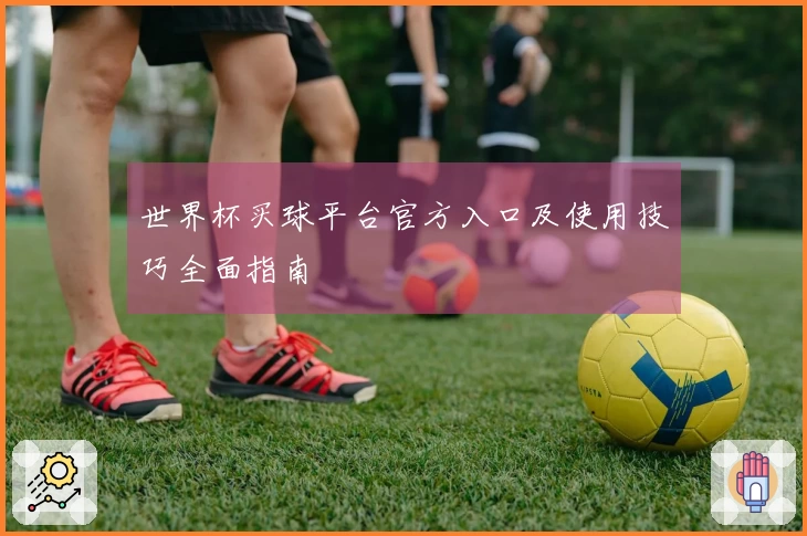 世界杯买球平台官方入口及使用技巧全面指南