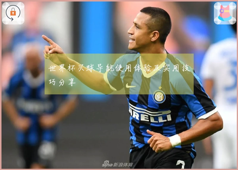 世界杯买球导航使用体验及实用技巧分享