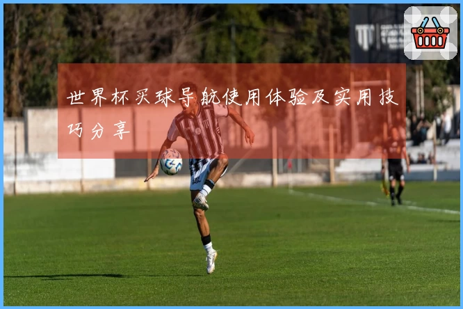 世界杯买球导航使用体验及实用技巧分享