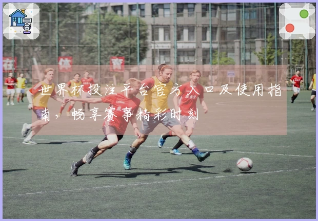 世界杯投注平台官方入口及使用指南，畅享赛事精彩时刻