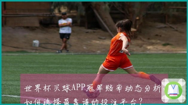 世界杯买球APP冠军赔率动态分析，如何选择最靠谱的投注平台？