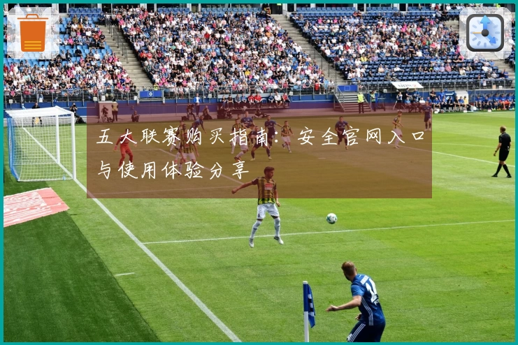 五大联赛购买指南:安全官网入口与使用体验分享
