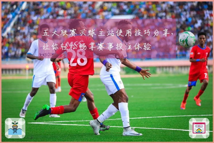 五大联赛买球主站使用技巧分享，让你轻松畅享赛事投注体验