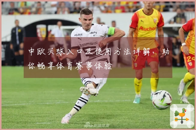 中欧买球入口及使用方法详解，助你畅享体育赛事体验