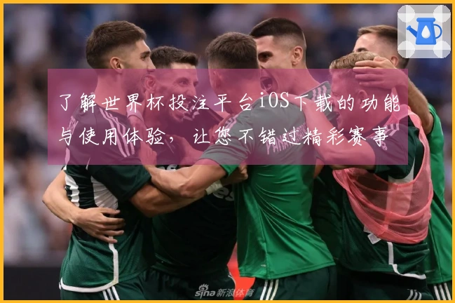 了解世界杯投注平台iOS下载的功能与使用体验，让您不错过精彩赛事