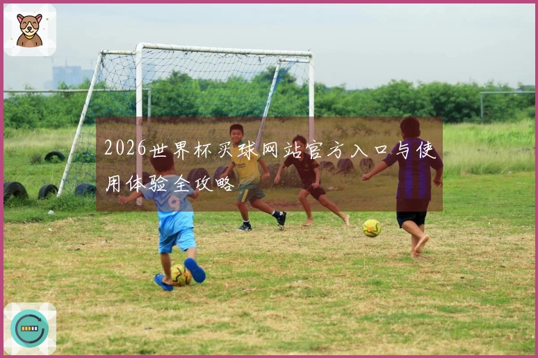 2026世界杯买球网站官方入口与使用体验全攻略