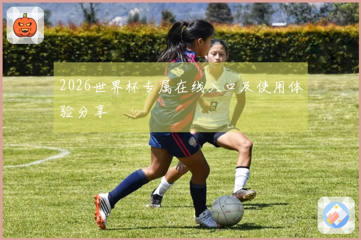 2026世界杯专属在线入口及使用体验分享