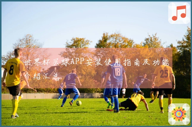 世界杯买球APP安装使用指南及功能介绍汇总