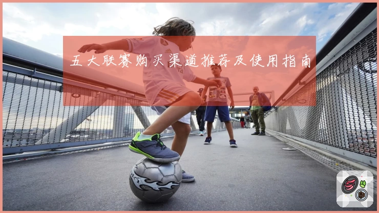 五大联赛购买渠道推荐及使用指南
