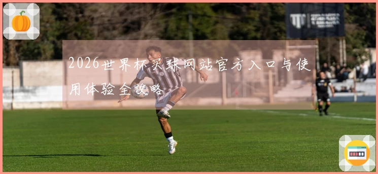 2026世界杯买球网站官方入口与使用体验全攻略
